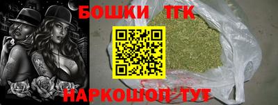 spice Гусев