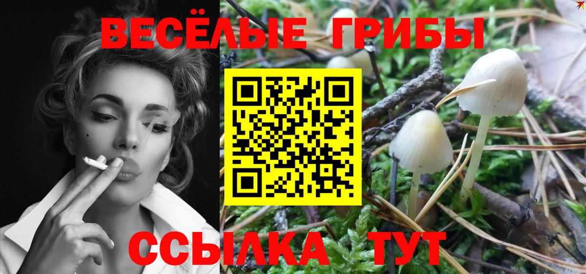 где найти наркотики  Вход с VPN  Курск  Псилоцибиновые грибы ЛСД 
